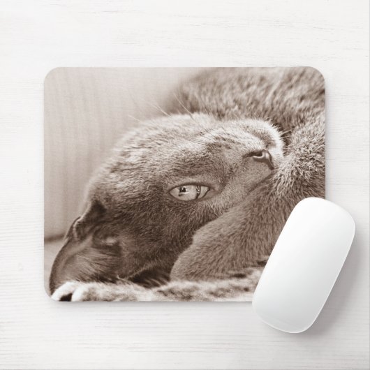 Versilbern Sie die Katze Mousepad (Mit Mouse)