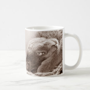 Versilbern Sie die Katzen-Tasse Kaffeetasse