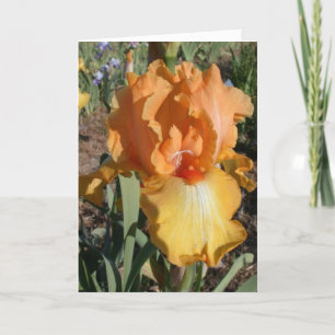 Verspätete Geburtstags-Karte - Gedächtnis Karte