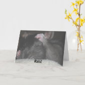 Verspätete Geburtstags-Karte Karte (Gelbe Blume)