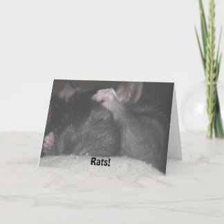 Verspätete Geburtstags-Karte Karte