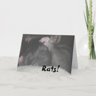 Verspätete Geburtstags-Karte Karte