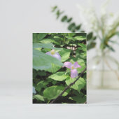 Verspätete Saison Trillium Postkarte (Stehend Vorderseite)