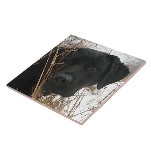 Verspätete Saisonjagd - Schwarzes Labor - Labrador Fliese (Seite)