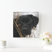 Verspätete Saisonjagd - Schwarzes Labor - Labrador Quadratische Wanduhr (Zuhause)