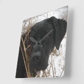Verspätete Saisonjagd - Schwarzes Labor - Labrador Quadratische Wanduhr (Winkel)