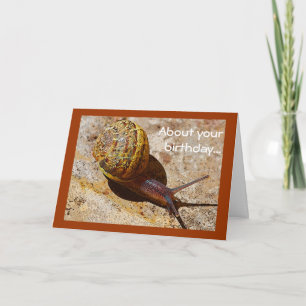 Verspäteter Geburtstag des snail mail Karte