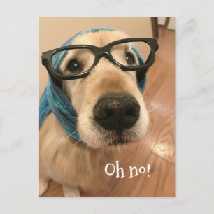 Verspäteter Geburtstag für Golden Retriever Hund m Postkarte