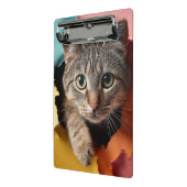 Verspielte getigerte Katze, die durch zerissenes P Mini Klemmbrett (Gewinkelt2)