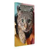 Verspielte getigerte Katze, die durch zerissenes P Mini Klemmbrett (Schrägansicht)