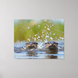 Verspielte Otter, die im Wasserspritzer auftauchen Leinwanddruck