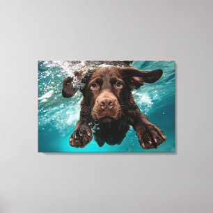 Verspielter Chocolate-Labrador schwimmt unter Wass Leinwanddruck