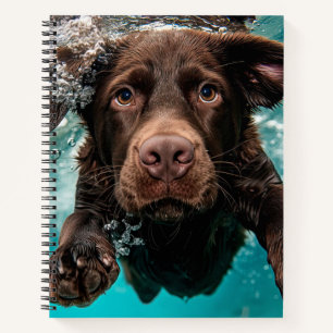 Verspielter Chocolate-Labrador schwimmt unter Wass Notizblock