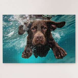Verspielter Chocolate-Labrador schwimmt unter Wass Puzzle