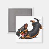 Verspielter Dachshund-Welpe Magnet (Vorderseite/Rückseite)