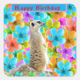 Verspielter Garten: Meerkat Amid Tribfarbene Blüte Quadratischer Aufkleber