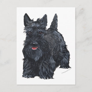 Verspielter Scottish Terrier Postkarte