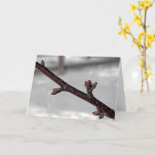 Versprechen des Frühlings Karte (Gelbe Blume)