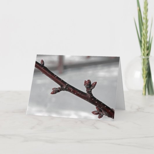 Versprechen des Frühlings Karte (Vorderseite)