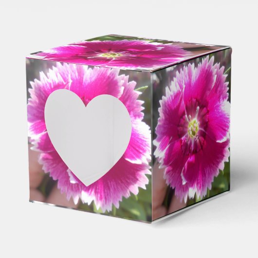 Versprechen Geschenkschachtel (Vorderseite)