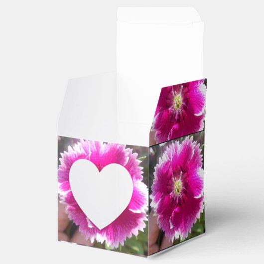 Versprechen Geschenkschachtel (Geöffnet)