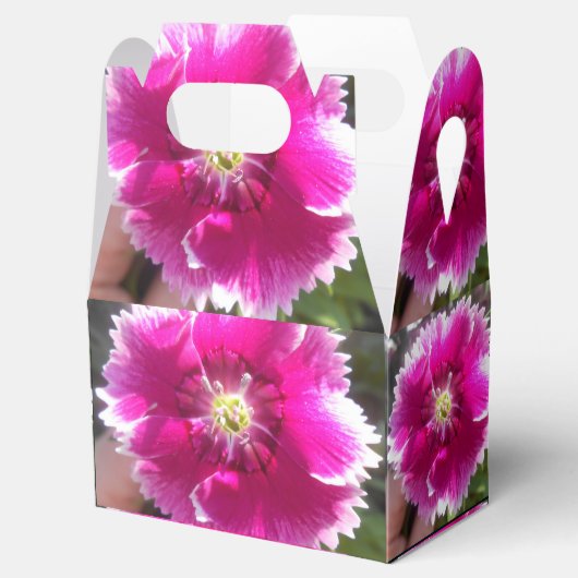 Versprechen Geschenkschachtel (Geöffnet)