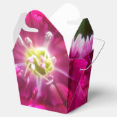 Versprechen Geschenkschachtel (Geöffnet)