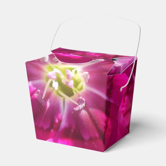 Versprechen Geschenkschachtel (Vorderseite)
