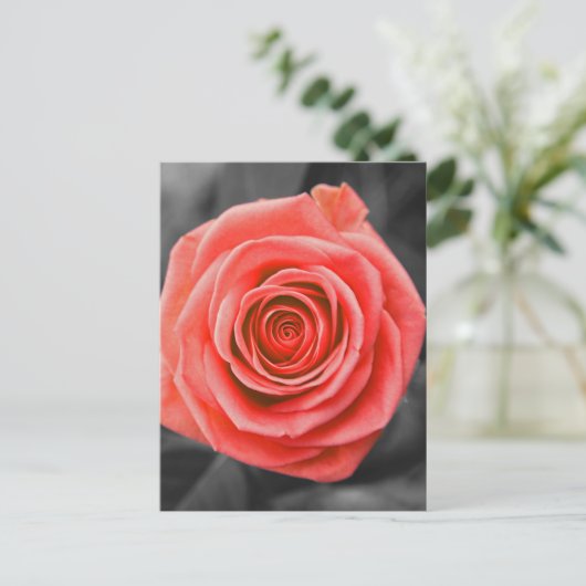 Versprechen-Rose Postkarte (Stehend Vorderseite)