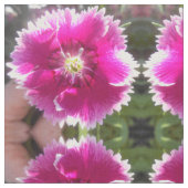 Versprechen Stoff (Nahaufnahme)