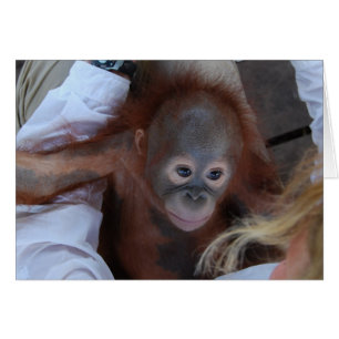 Versprechen zu den Tier-Waisen