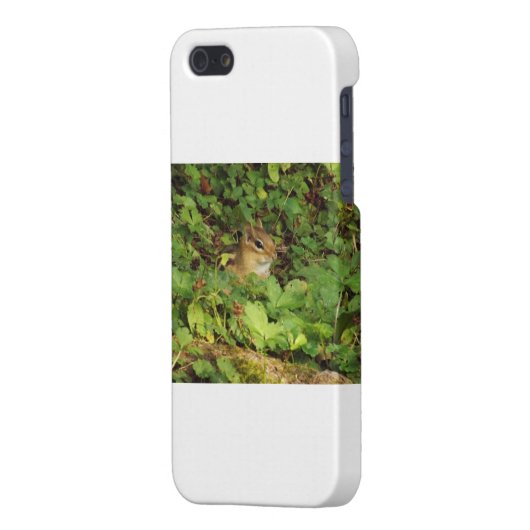 Versteck iPhone Hülle (Rückseite links)