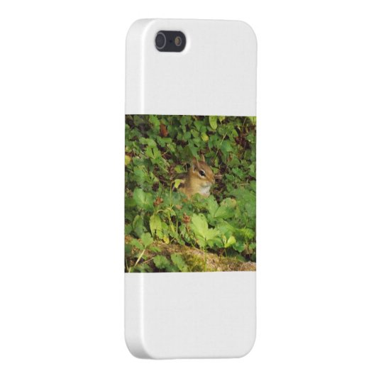 Versteck iPhone Hülle (Rückseite rechts)