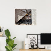 verstecken-a-Kitty Poster (Heimbüro)