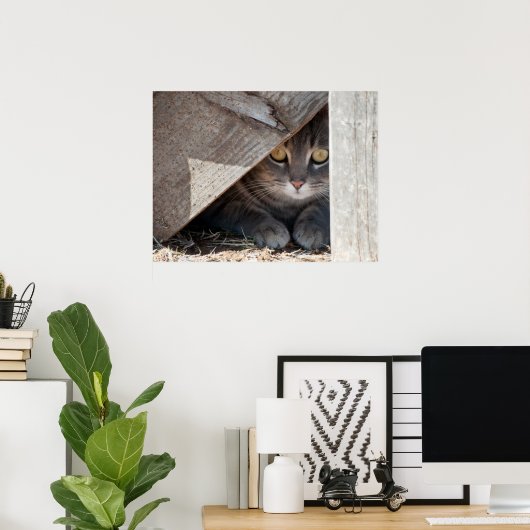 verstecken-a-Kitty Poster (Heimbüro)