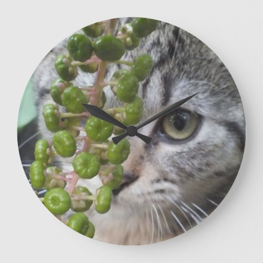 Verstecken der Kitten Wall Clock Große Wanduhr (Vorderseite)