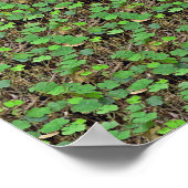 Verstecken im Kleeblatt - Versteckter 3D-Druck Poster (Ecke)