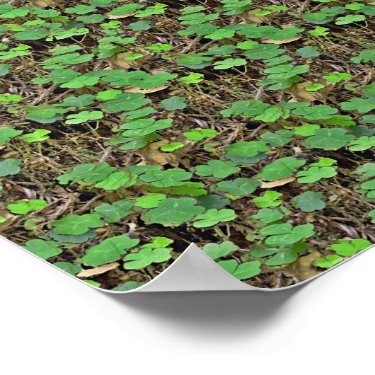 Verstecken im Kleeblatt - Versteckter 3D-Druck Poster (Ecke)