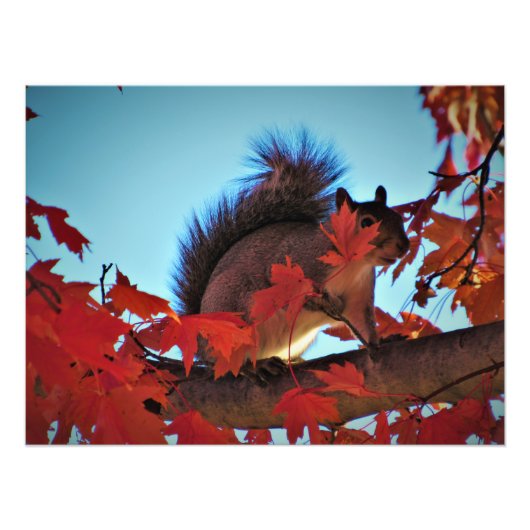 "Verstecken in Schlichter Sicht" Fotodruck (Vorne)