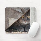 verstecken mousepad (Mit Mouse)