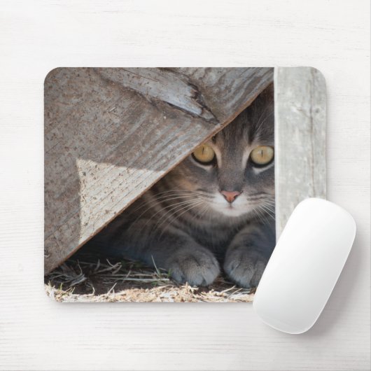 verstecken mousepad (Mit Mouse)