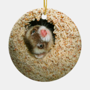 Verstecken Pauley Verzierung Keramikornament