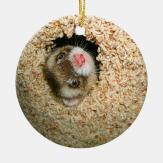 Verstecken Pauley Verzierung Keramikornament (Vorne)