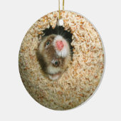 Verstecken Pauley Verzierung Keramikornament (Links)