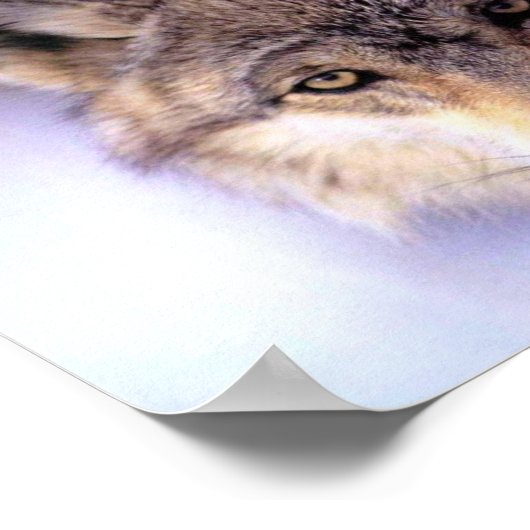 Verstecken Poster (Ecke)