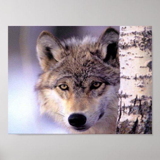 Verstecken Poster (Vorne)