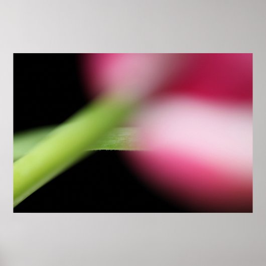 Verstecken Poster (Vorne)