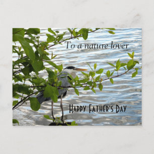 Verstecken Sie Heron! Postkarte