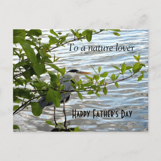 Verstecken Sie Heron! Postkarte (Vorderseite)