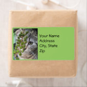 Verstecken von Kätzchenadressen (Insitu)